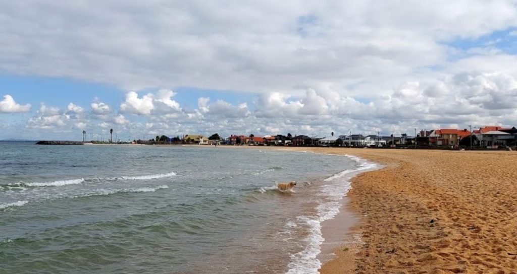 Pet Friendly Williamstown Beach