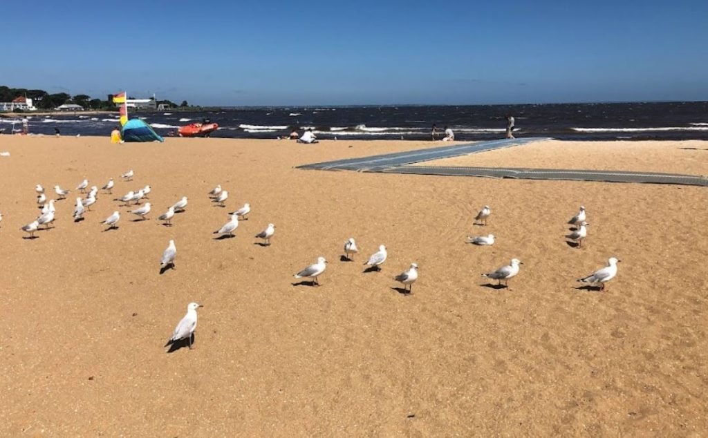 Williamstown Beach