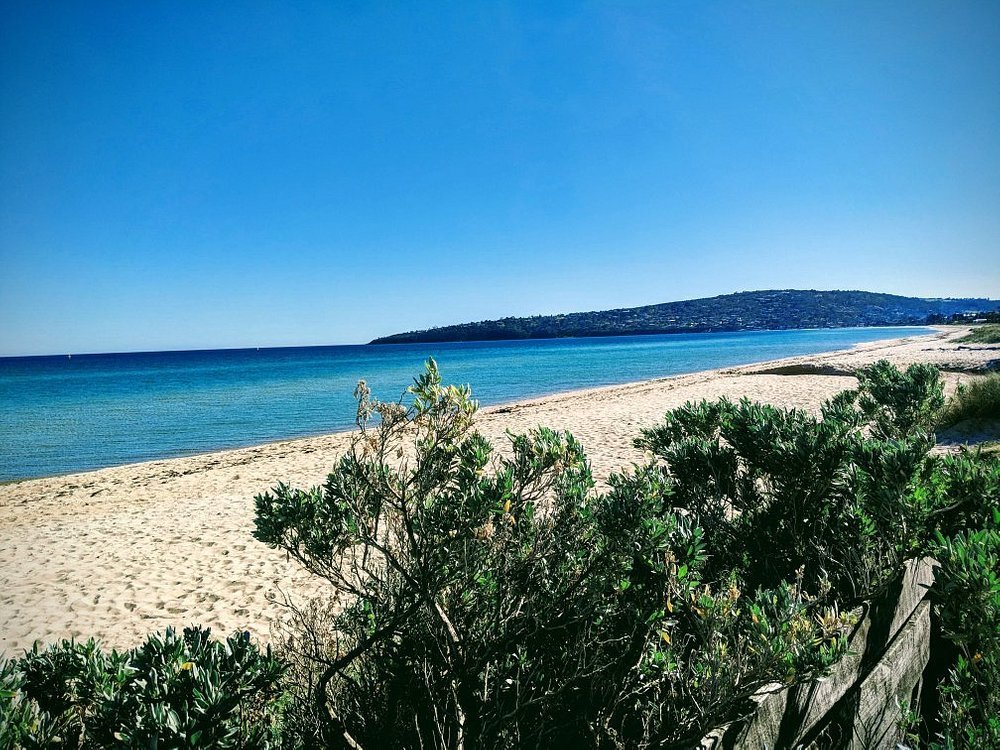 Dromana Beach