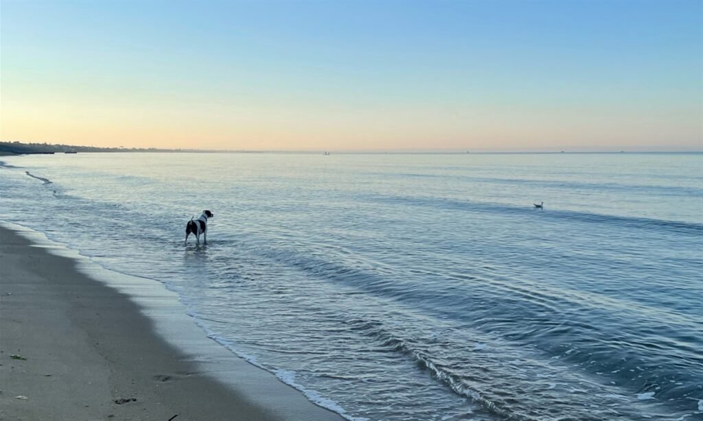 Mentone Beach