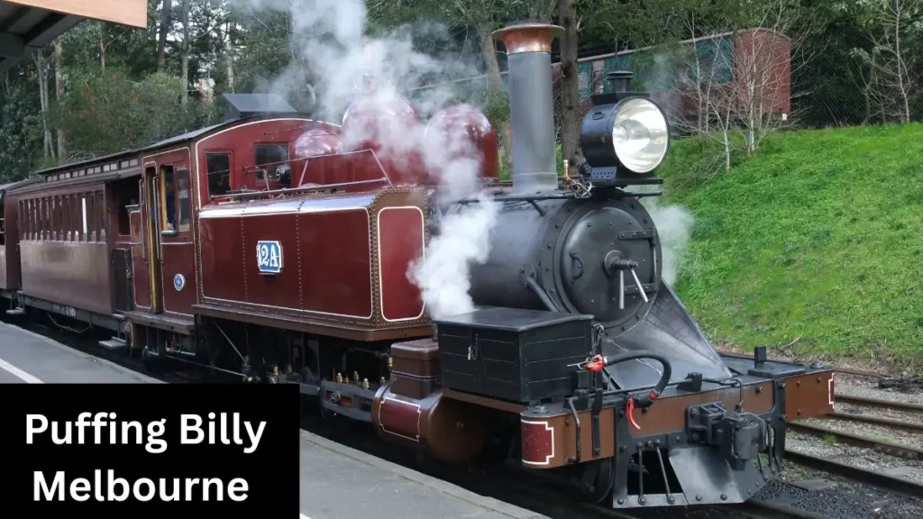 Puffing Billy Melbourne