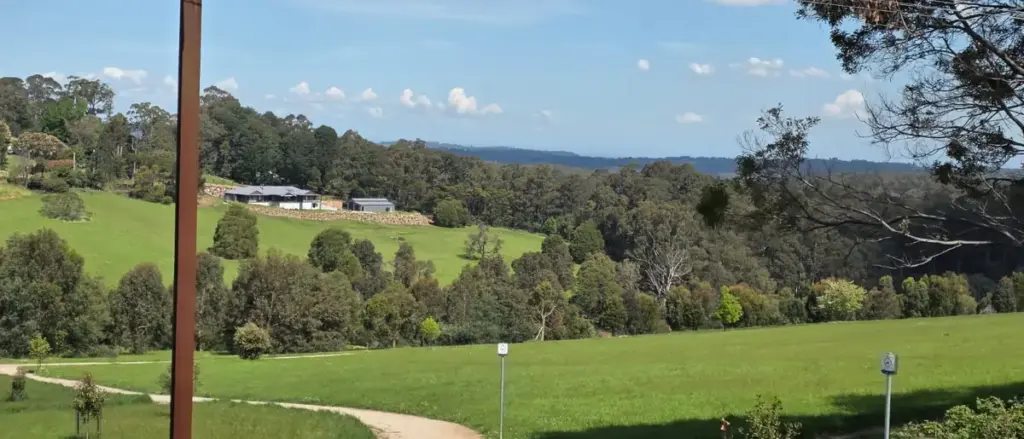 One of the views from the Puffing Billy train