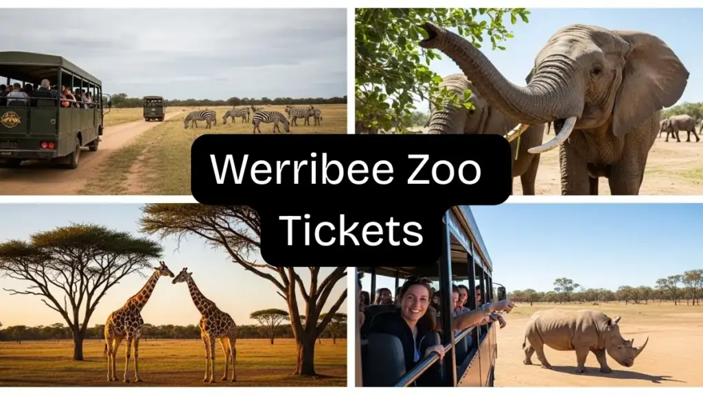 Werribee-Open-Range-Zoo-Tickets