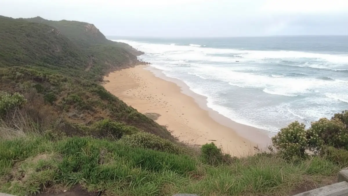 Nobbies boardwalk overlooking ocean cliffs Phillip Island